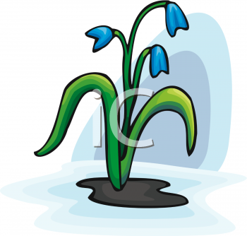 Nature and Scenic Clipart