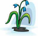 Flower Clipart