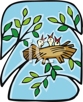 Bird Clipart