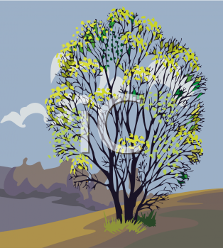 Nature and Scenic Clipart