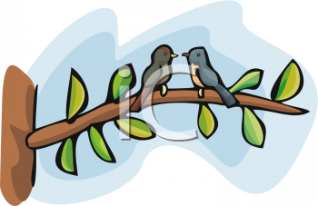 Bird Clipart