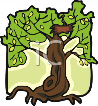 Bird Clipart