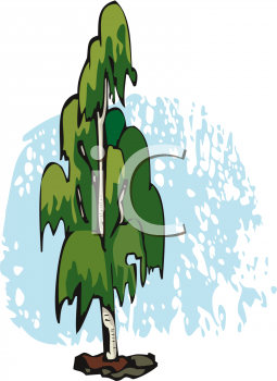 Nature and Scenic Clipart