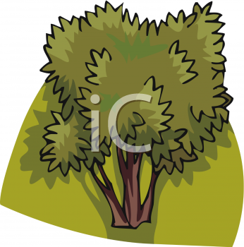 Nature and Scenic Clipart