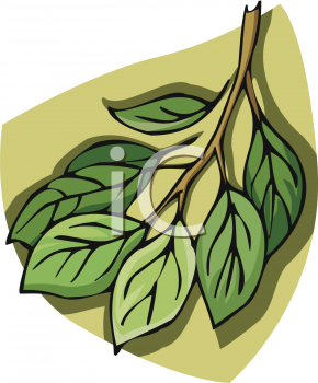 Nature and Scenic Clipart