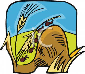 Farm Produce Clipart