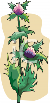 Nature and Scenic Clipart