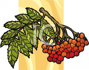 Nature and Scenic Clipart