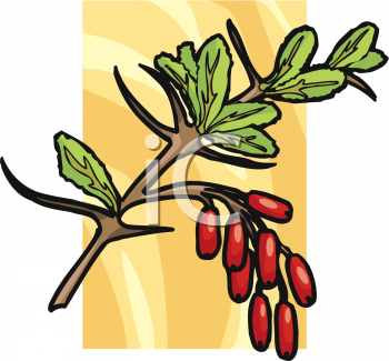 Nature and Scenic Clipart