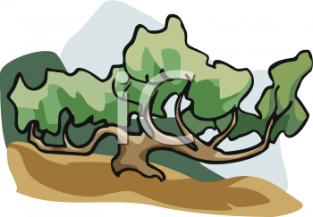 Nature and Scenic Clipart