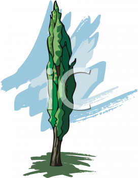 Nature and Scenic Clipart