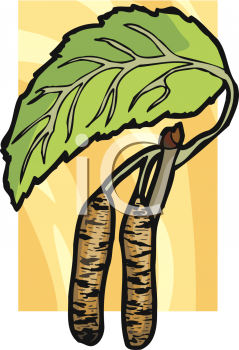 Nature and Scenic Clipart