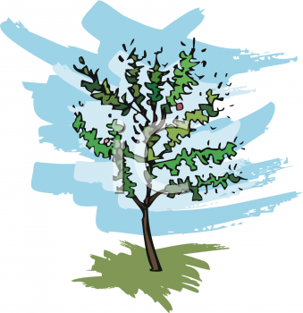 Nature and Scenic Clipart