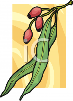 Nature and Scenic Clipart