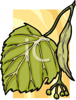 Nature and Scenic Clipart