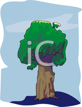 Grass and Tree Clipart