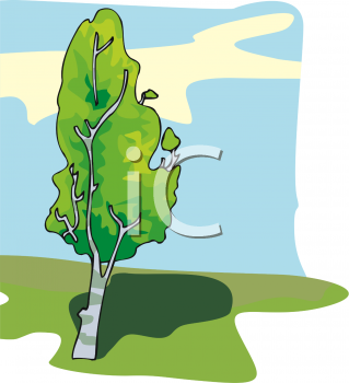 Nature and Scenic Clipart