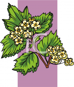 Nature and Scenic Clipart
