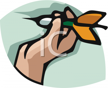 Objects Clipart