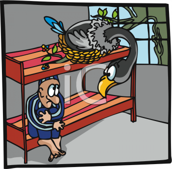 Bird Clipart