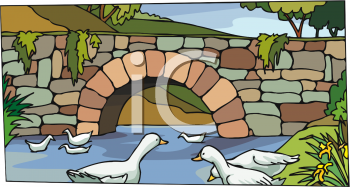 Bird Clipart