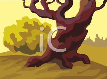 Nature and Scenic Clipart