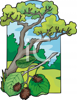 Nature and Scenic Clipart