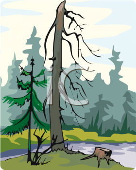 Nature and Scenic Clipart