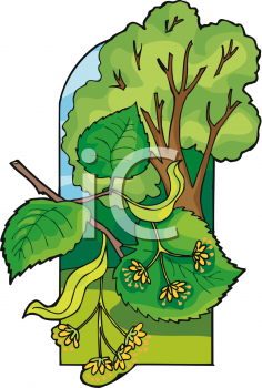 Nature and Scenic Clipart