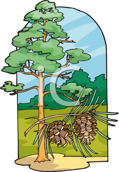 School Clipart