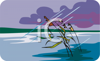 Nature and Scenic Clipart