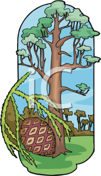 Nature and Scenic Clipart