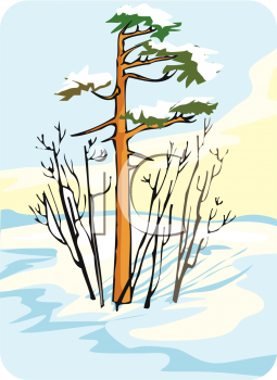 Grass and Tree Clipart
