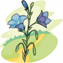 Flower Clipart