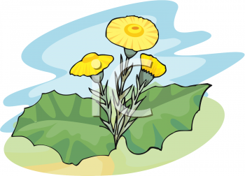 Nature and Scenic Clipart