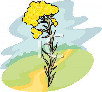 Grass and Tree Clipart