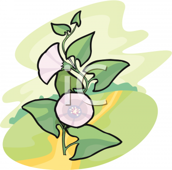 Flower Clipart