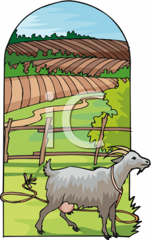 Farm Animal Clipart