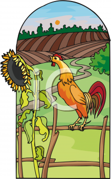 Farm Animal Clipart