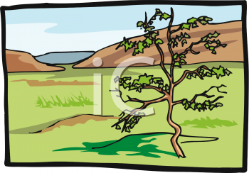 Grass and Tree Clipart