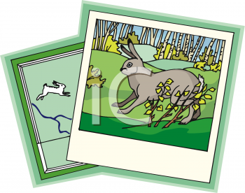 Pet Clipart
