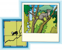 Rodent Clipart