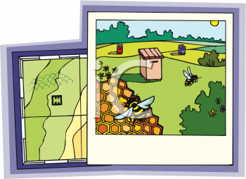 Insect Clipart