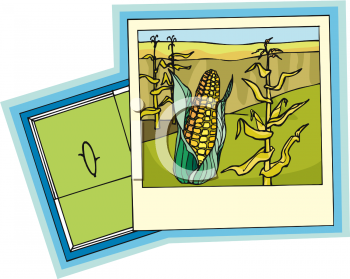 Farm Produce Clipart