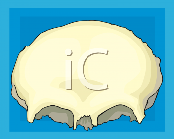 Science Clipart