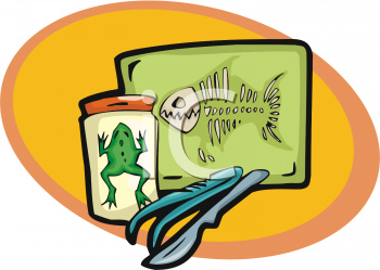 Amphibians Clipart