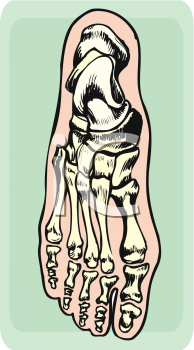 Science Clipart