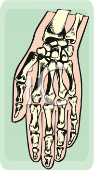 School Clipart
