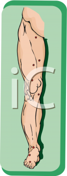 School Clipart