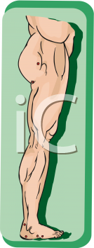 School Clipart
